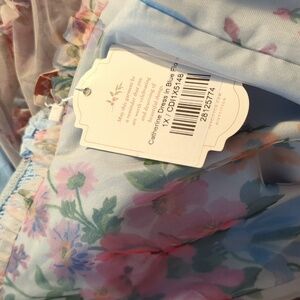 CATHERINE DRESS IN BLUE FLORAL- 1X